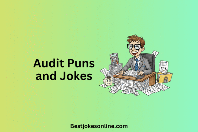 Audit Puns and Jokes