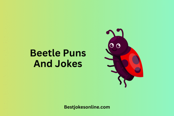 Beetle Puns