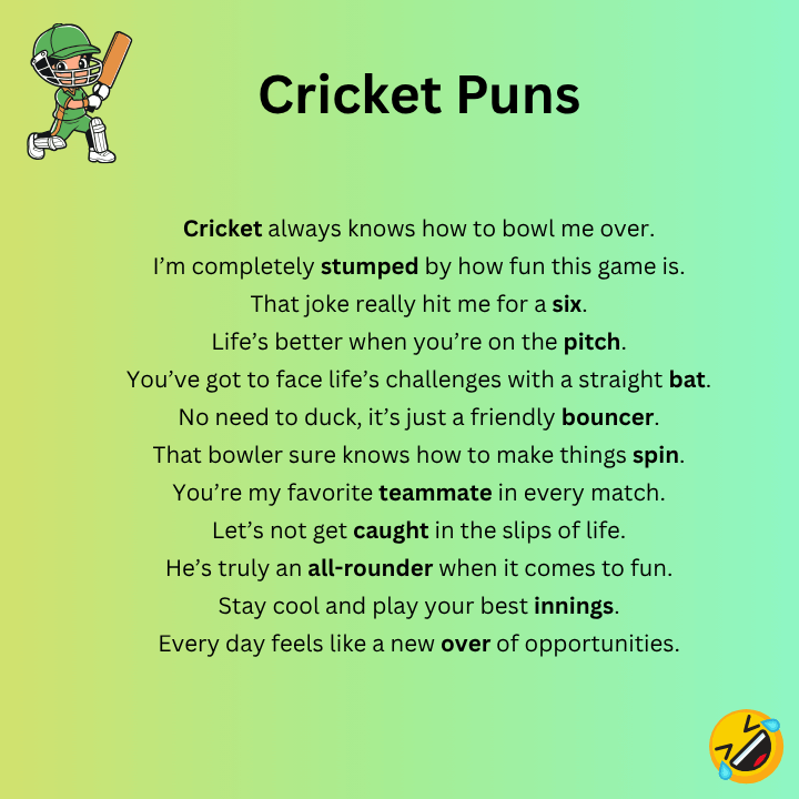 Best Cricket Puns