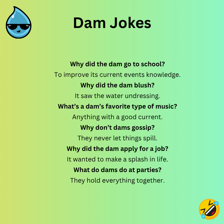 Best Dam Jokes
