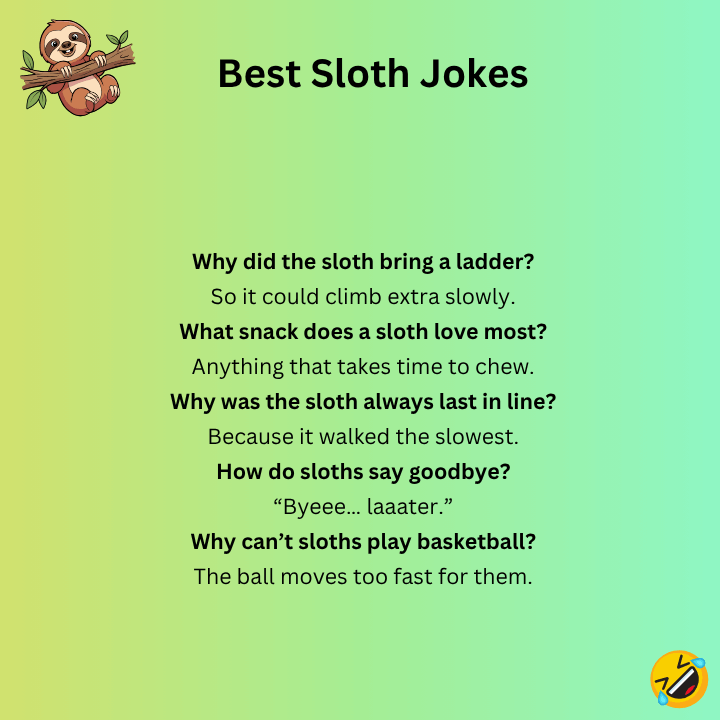 Best Sloth Jokes