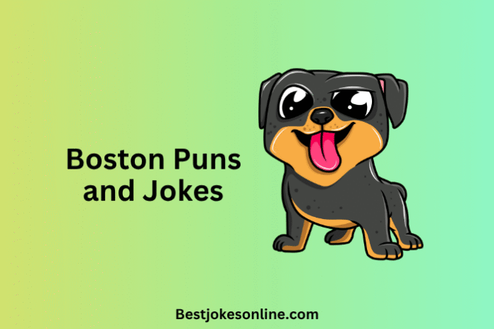 Boston Puns and Jokes