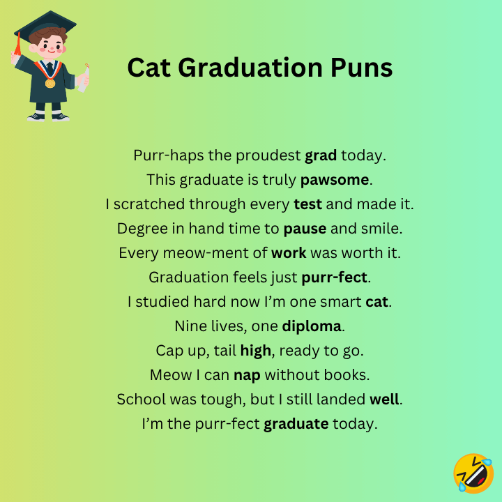 Cat Graduation Puns