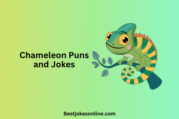 Chameleon Puns and Jokes