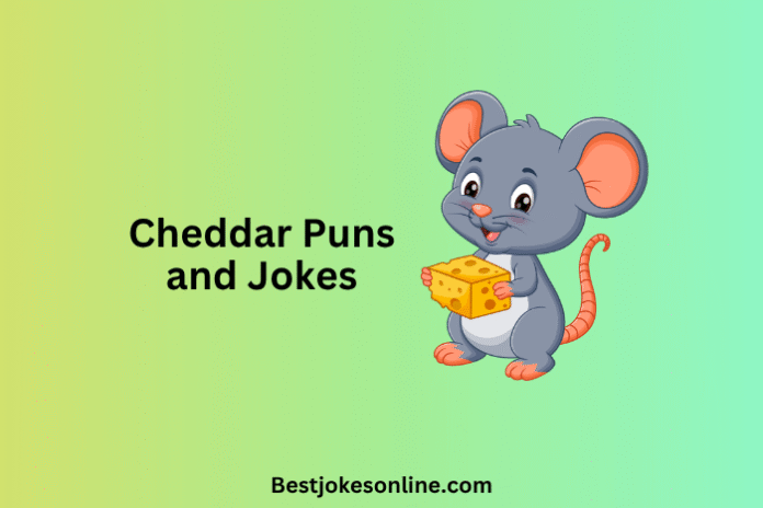 Cheddar Puns and Jokes