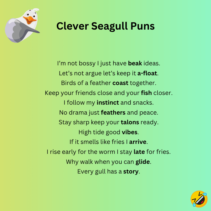 Clever Seagull Puns