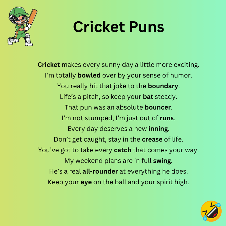 Cricket Puns One Liners