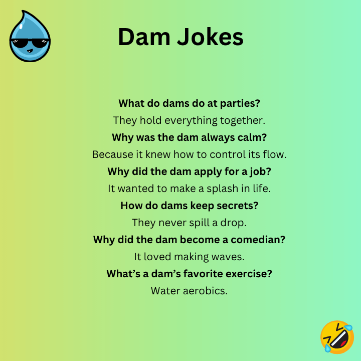 Dam Jokes