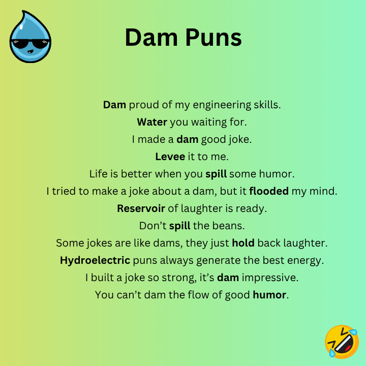 Dam Puns
