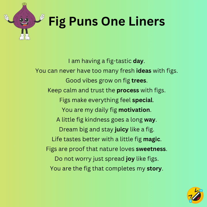Fig Puns One Liners