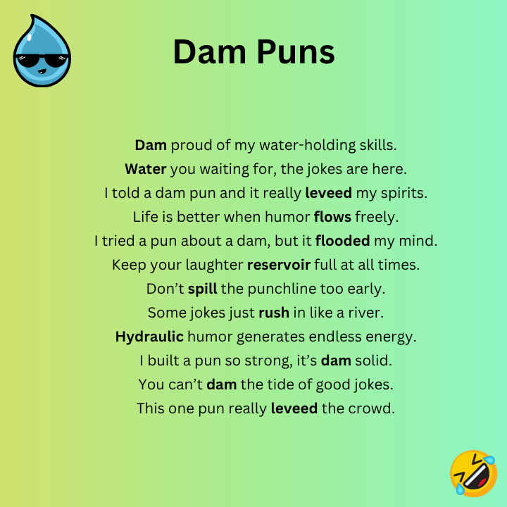 Funny Dam Puns