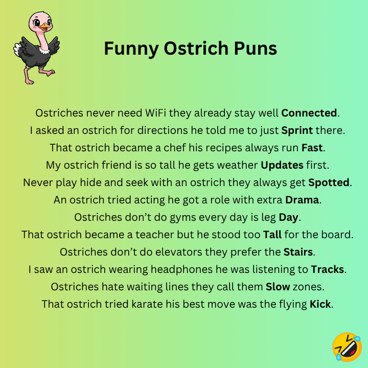 Funny Ostrich Puns