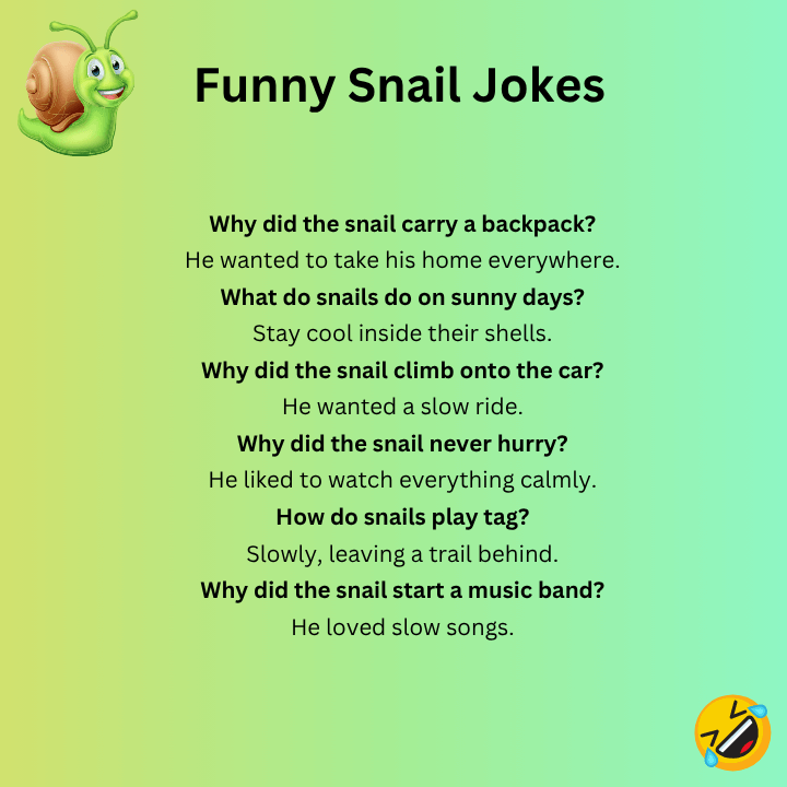 Funny Snail Jokes 