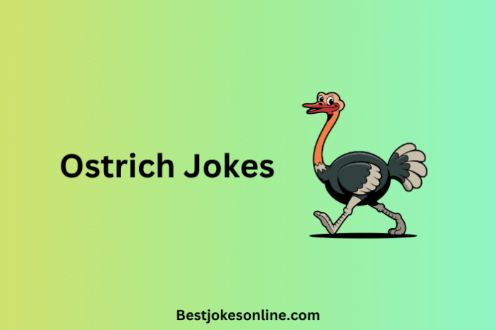 Ostrich Jokes