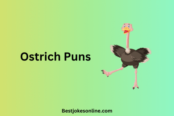 Ostrich Puns