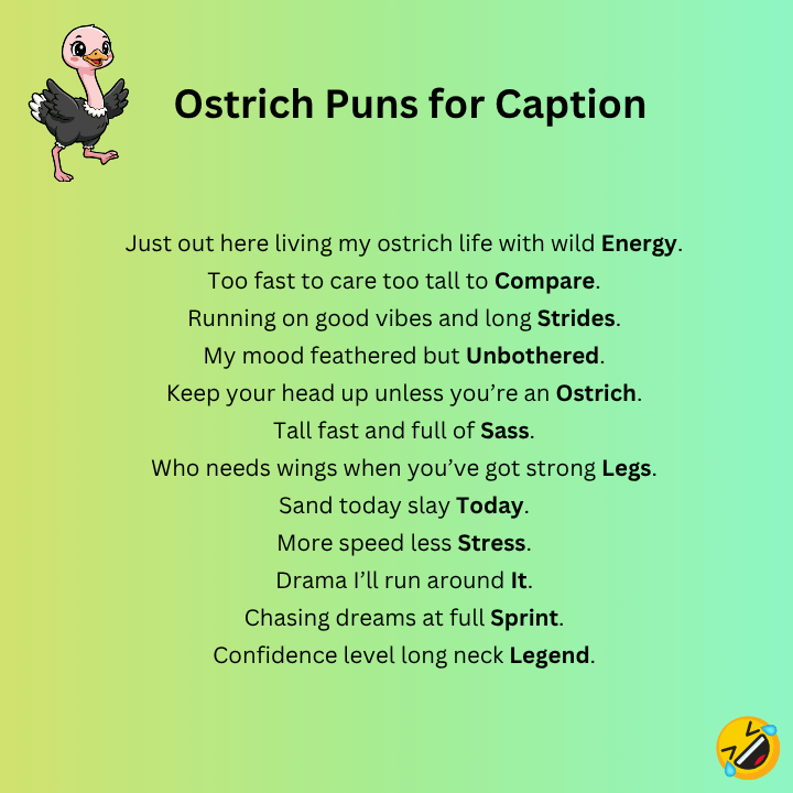 Ostrich Puns for Caption