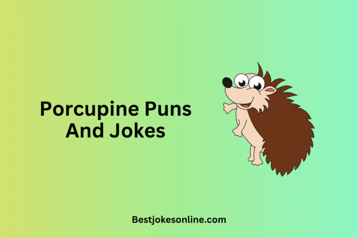 Porcupine Puns