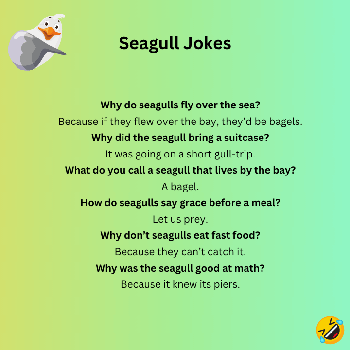 Seagull Jokes