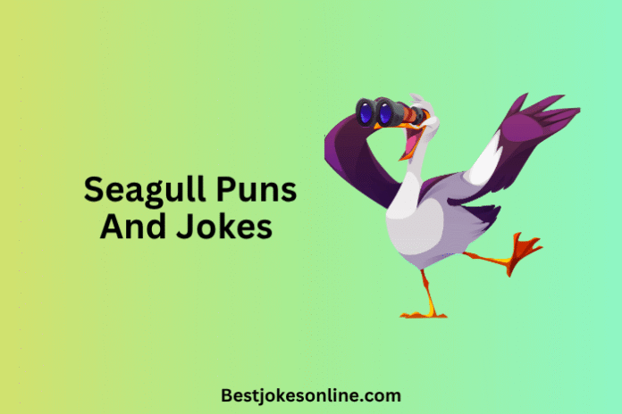 Seagull Puns and Jokes