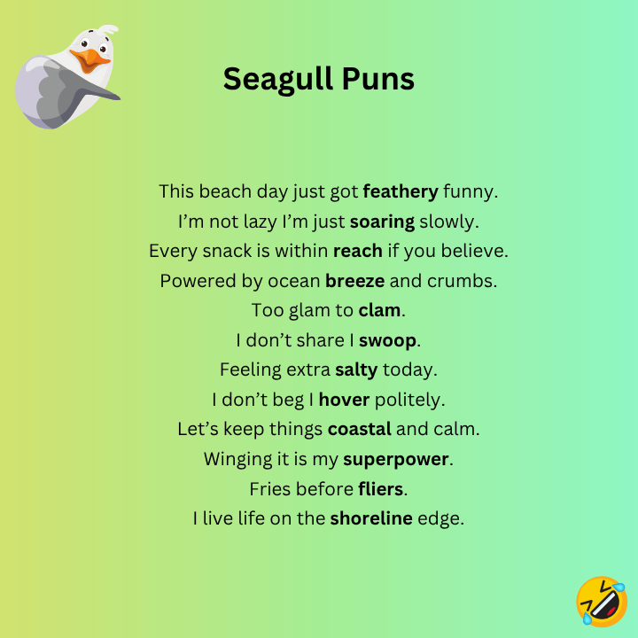 Seagull Puns