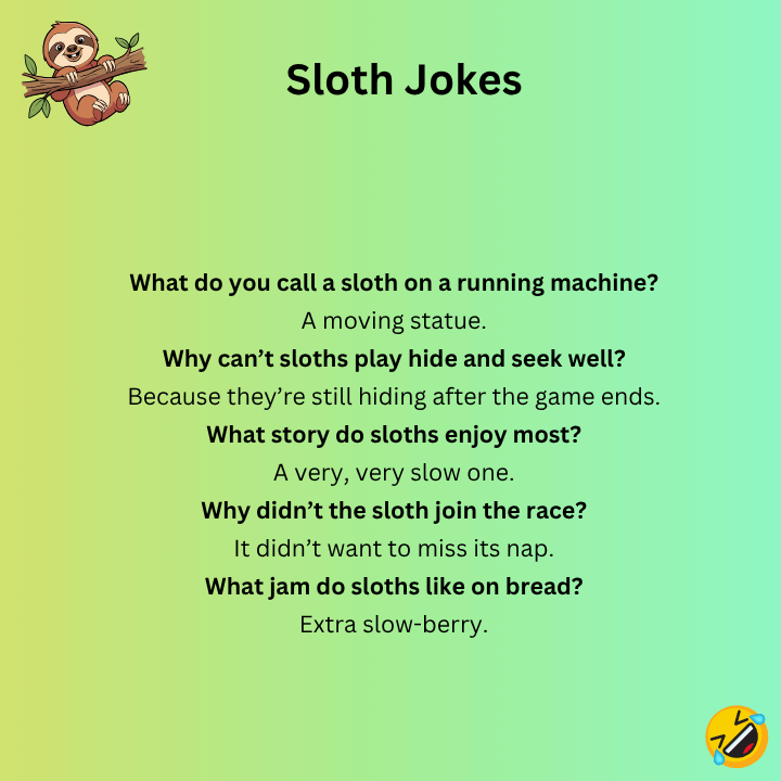 Sloth Jokes