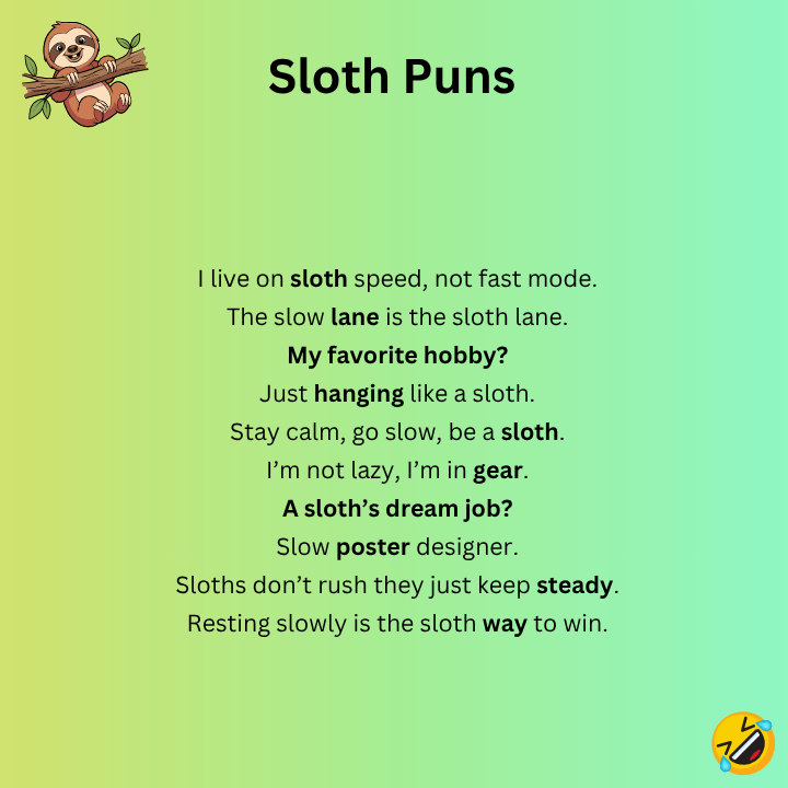 Sloth Puns