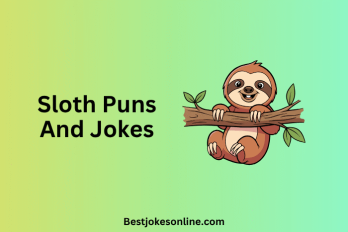 Sloth Puns