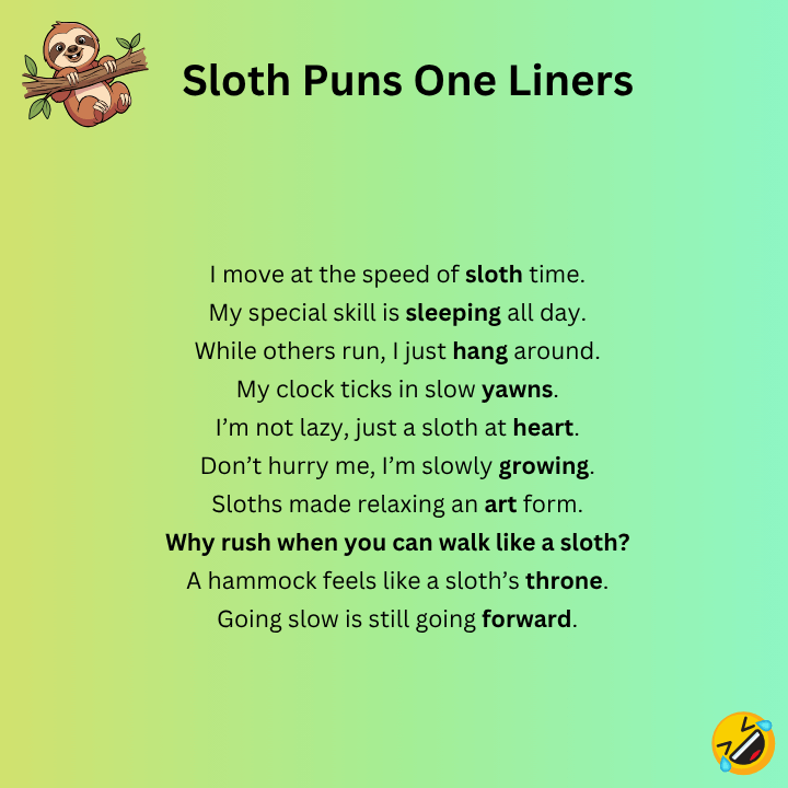 Sloth Puns One Liners