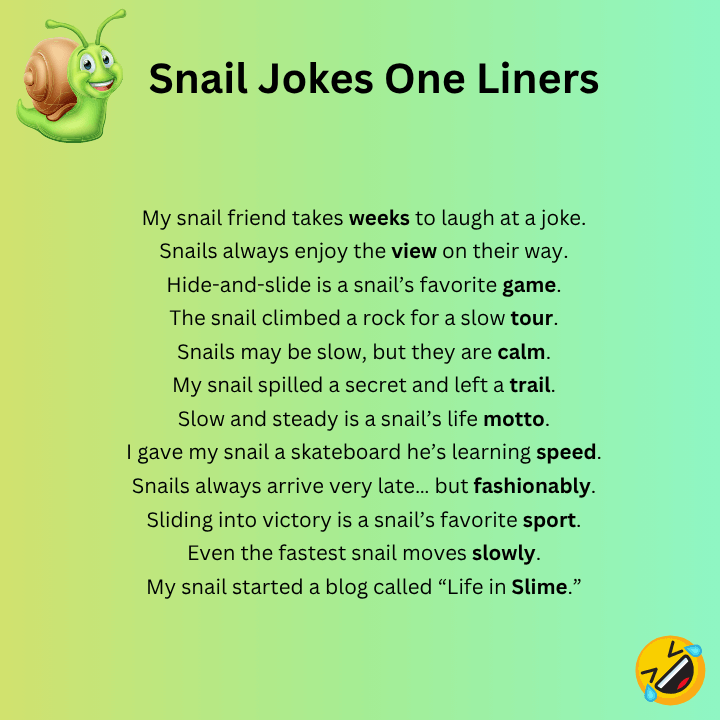 Snail Jokes One Liners