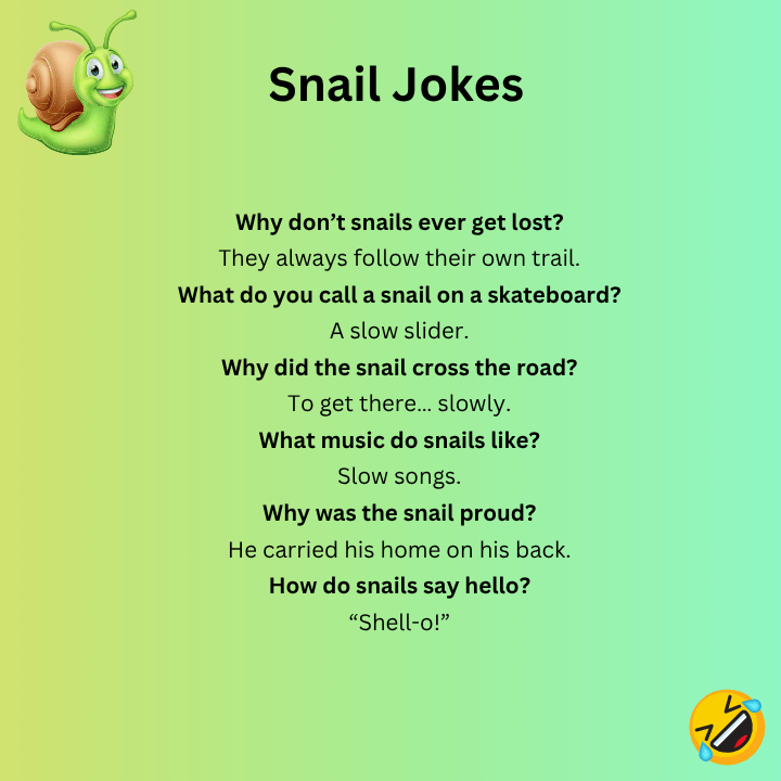 Snail Jokes