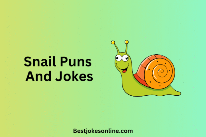 Snail Puns