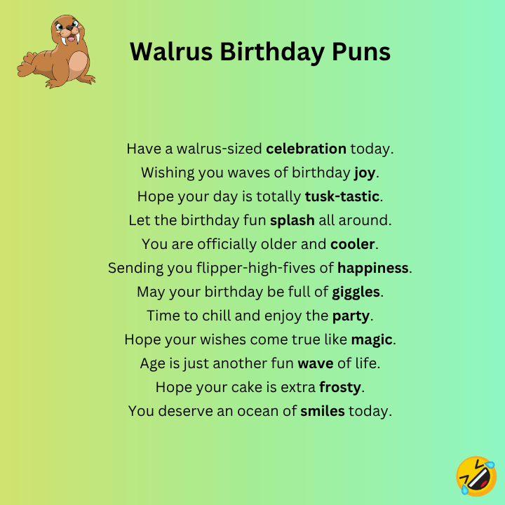 Walrus Birthday Puns