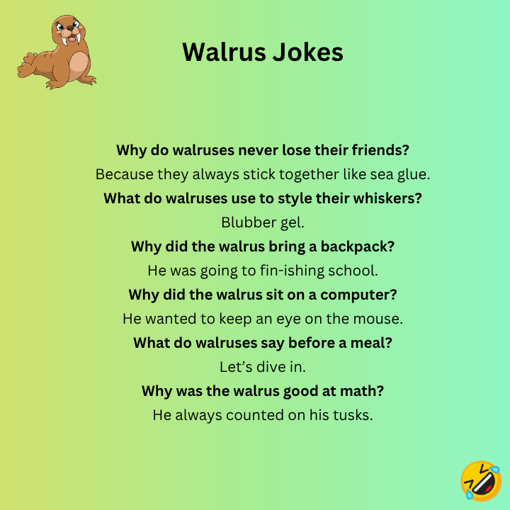 Walrus Jokes