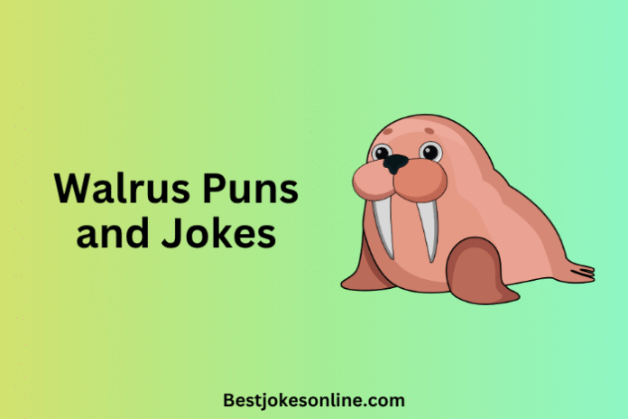 Walrus Puns and Jokes
