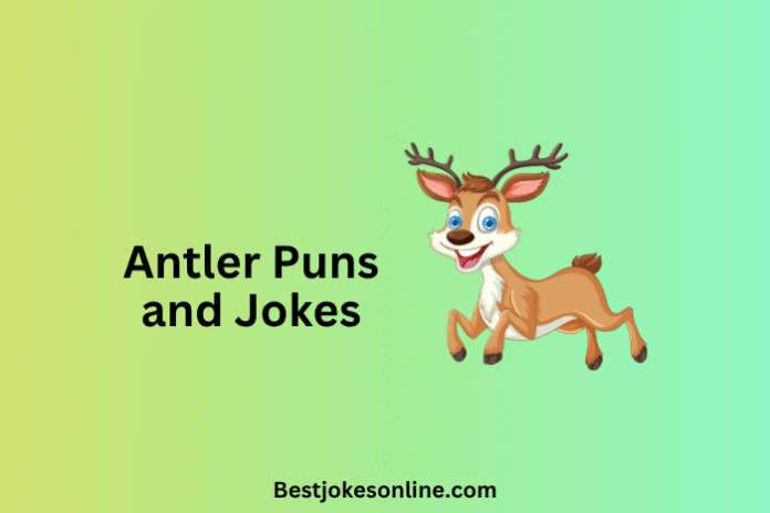 Antler Puns and Jokes