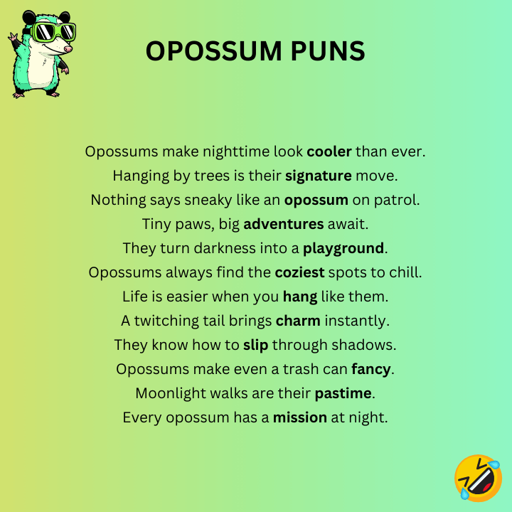 Funny Opossum Puns