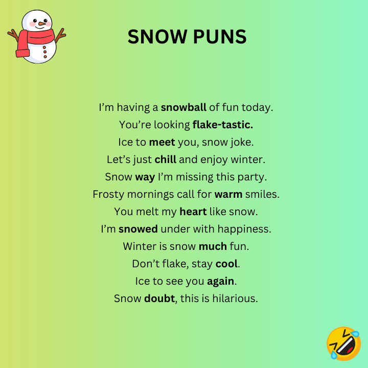Funny Snow Puns