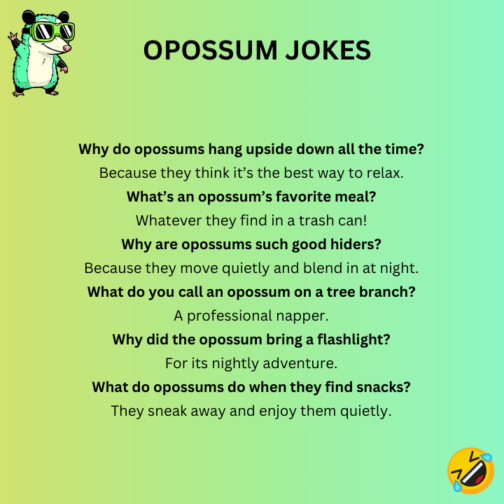 Opossum Jokes