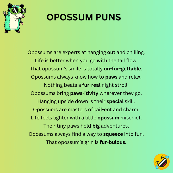Opossum Puns One-Liner