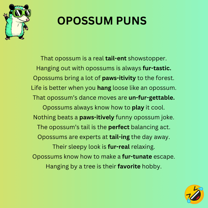 Opossum Puns