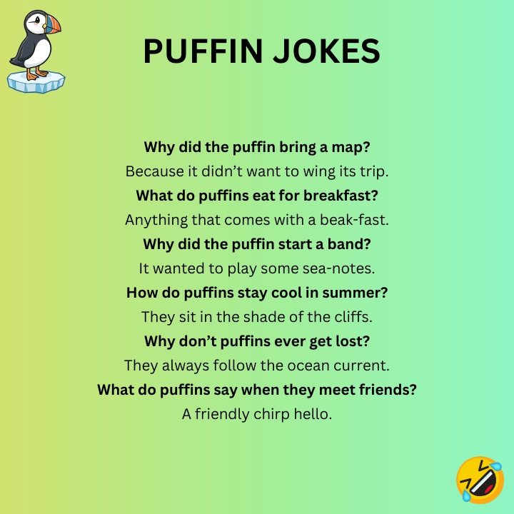 Puffin Jokes