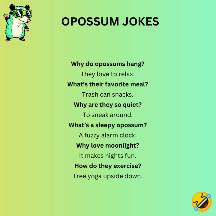 Short Opossum Jokes