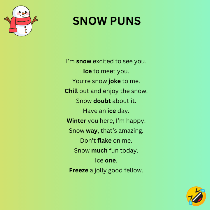 Snow Puns