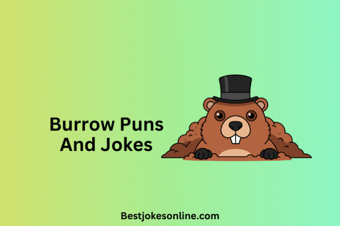Burrow Puns And Jokes