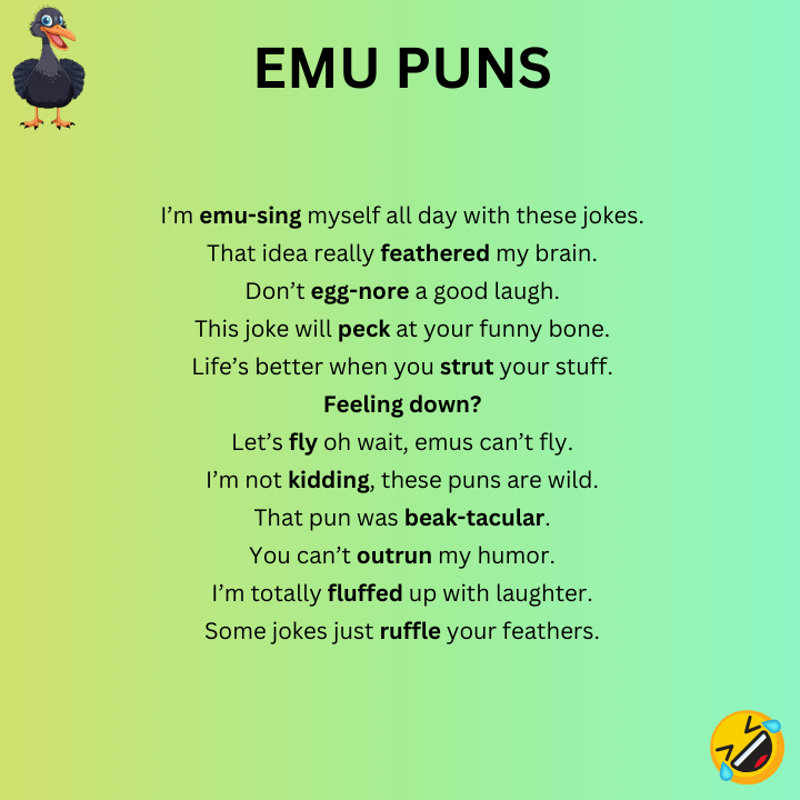 Emu Puns One-Liner