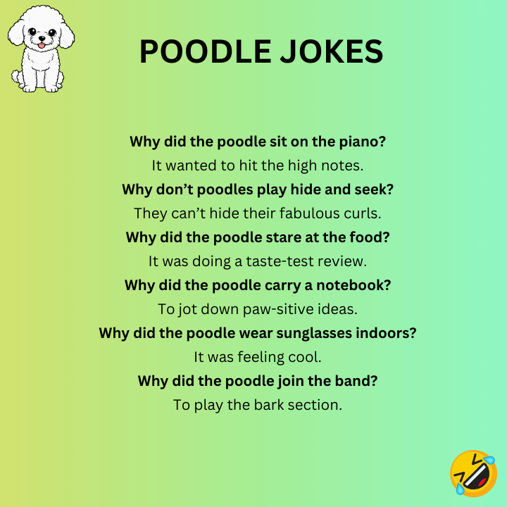 Funny Poodle Jokes