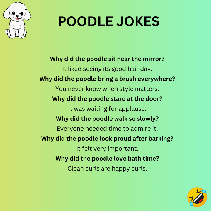 Poodle Jokes