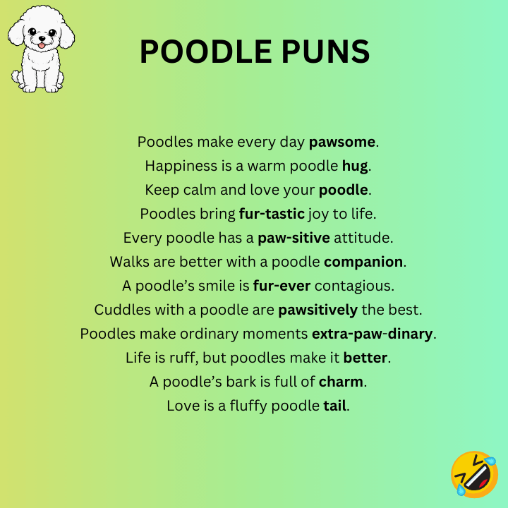 Poodle Puns 