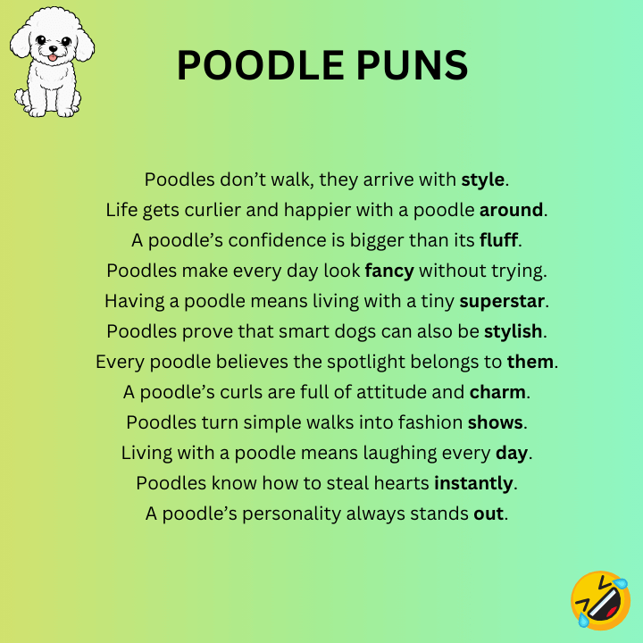 Poodle Puns One-Liners