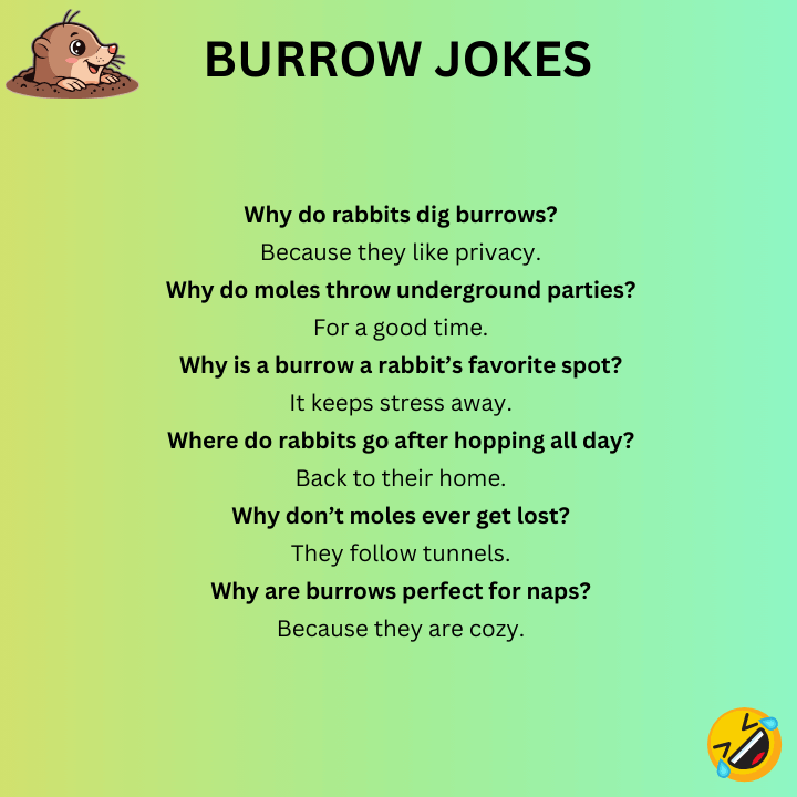 Short Burrow Jokes